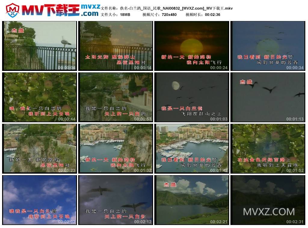 佚名-白兰鸽_国语_民歌_NAI00832